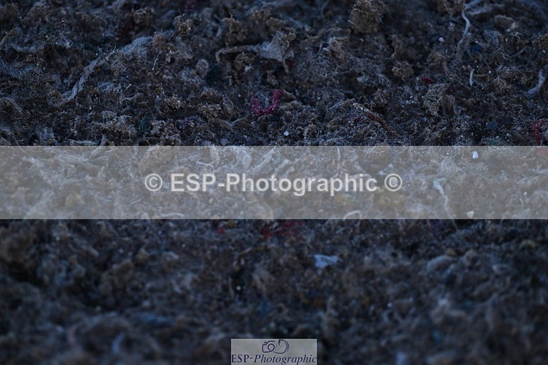 251203-111813-00313 - Cls 2 Discovery and 1m Open