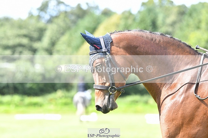 230826-144939-21819 - PC 70 2pm to End