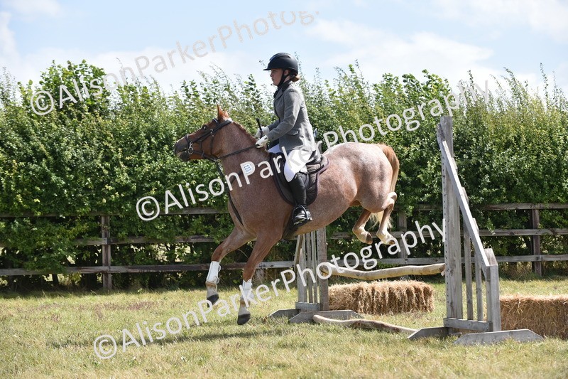 20250831-3993 - Class 12 - Working Hunter Pony 14.2hh and Under