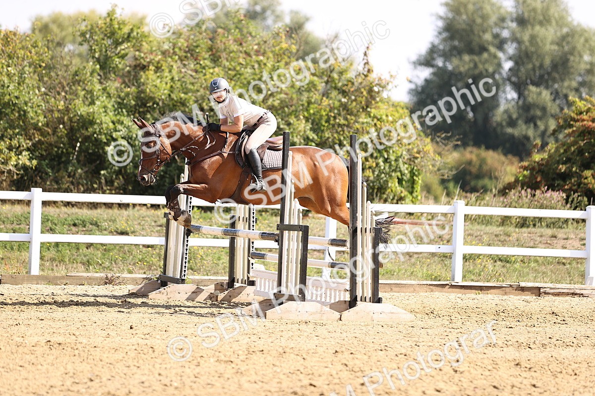 SBM_005862 - Class 9 - Senior British Novice - 90cm