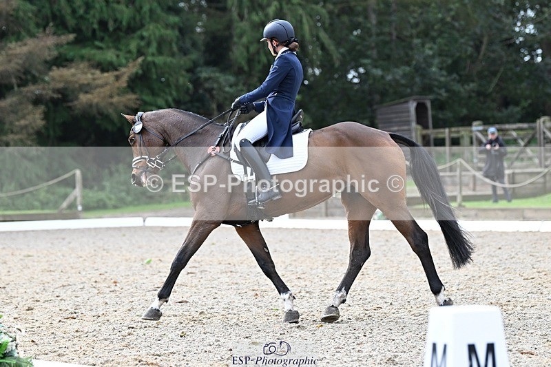 231019-122146-02735 - 044-COOLEY.ON.THE.CARDS-Charlotte.Cooke-DR