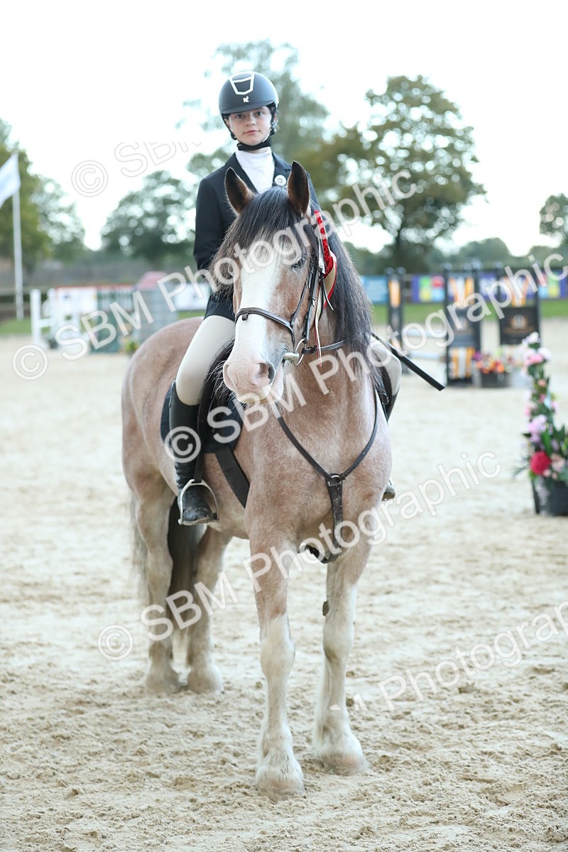 SBM_53775 - Supreme Championship 65cm 70cm