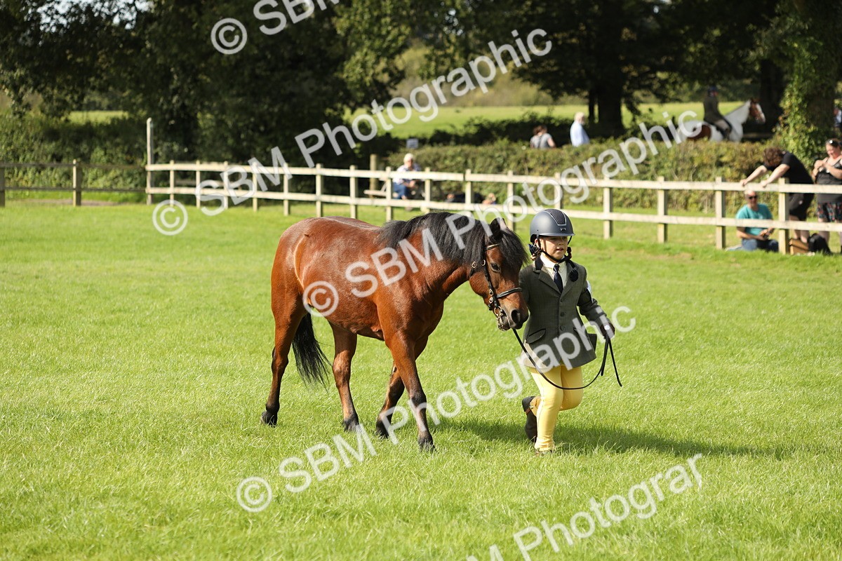 SBM_68588 - S40 - Junior Handler 9-12 Years
