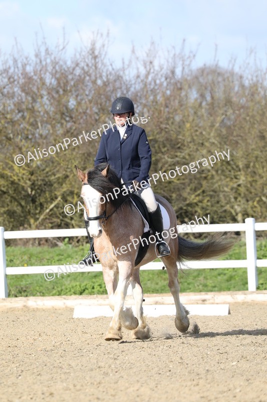 20260314-4984 - CT6 - Elementary 1