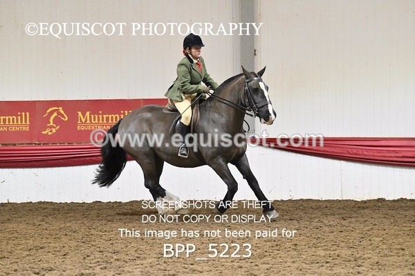 BPP_5223 - CLASS 5 HORSE AND HOUND