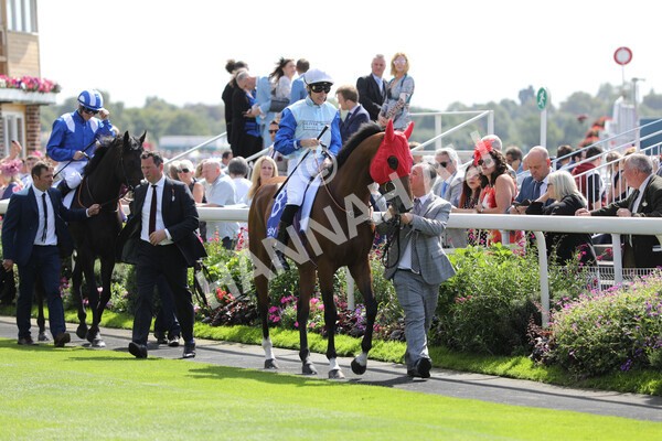 yr20082022r1-14 - Race 1 1.50pm Sky Bet & Symphony Group Strensall Stakes