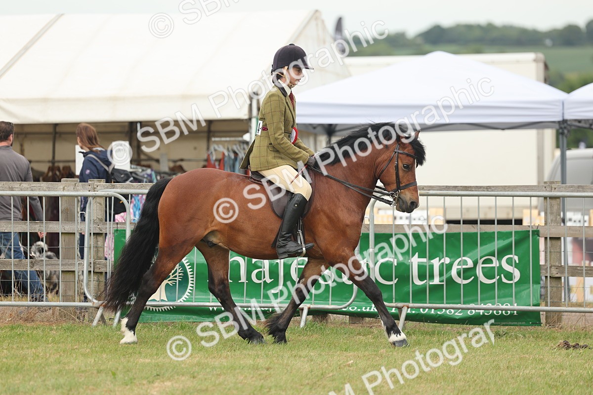 SBM_09108 - Class 78-80 - Ridden M&M Non Welsh Ponies