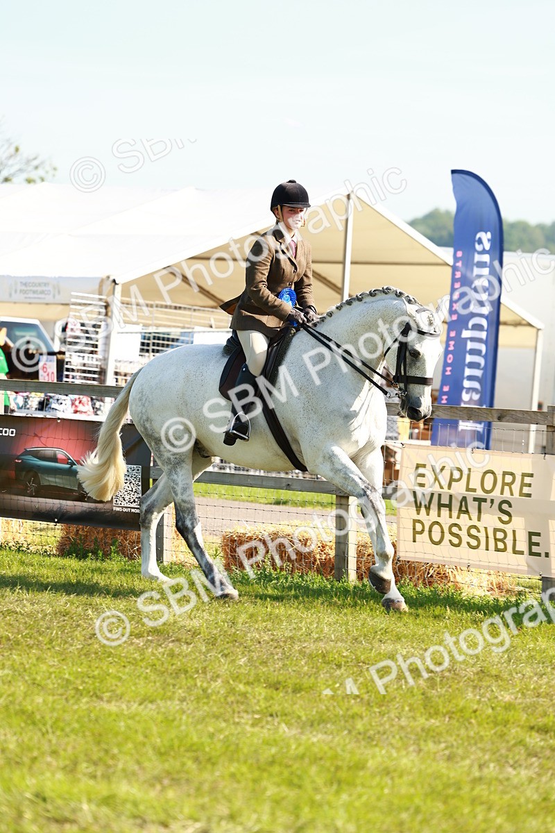 SBM_10972 - Class 66-69 - RIHS Ridden Hunters Inc Small Hunter
