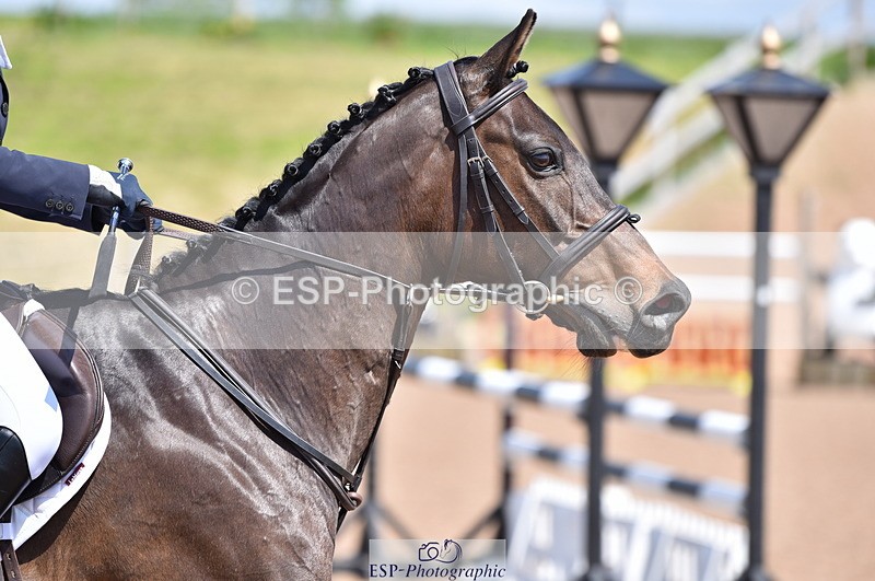 230520A-135916-00541 - 1m