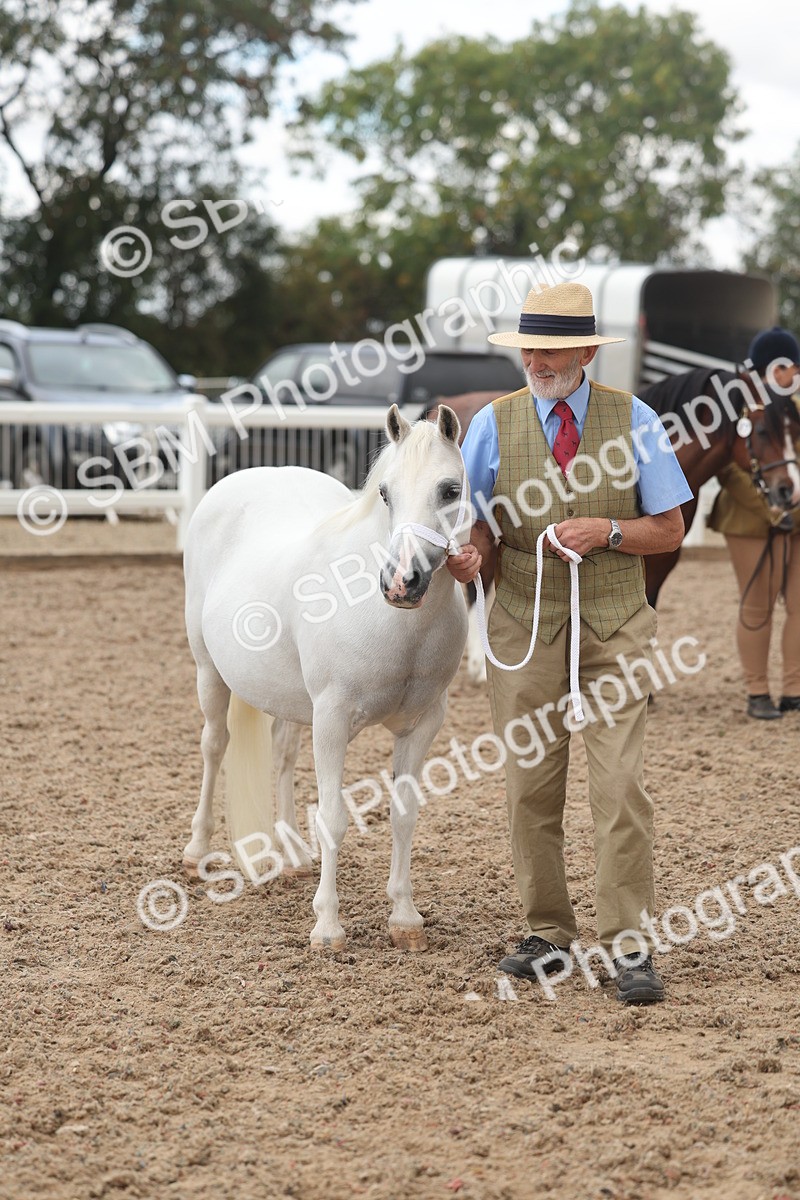 SBM_03229 - Class 16 - IH M&M Wildcard