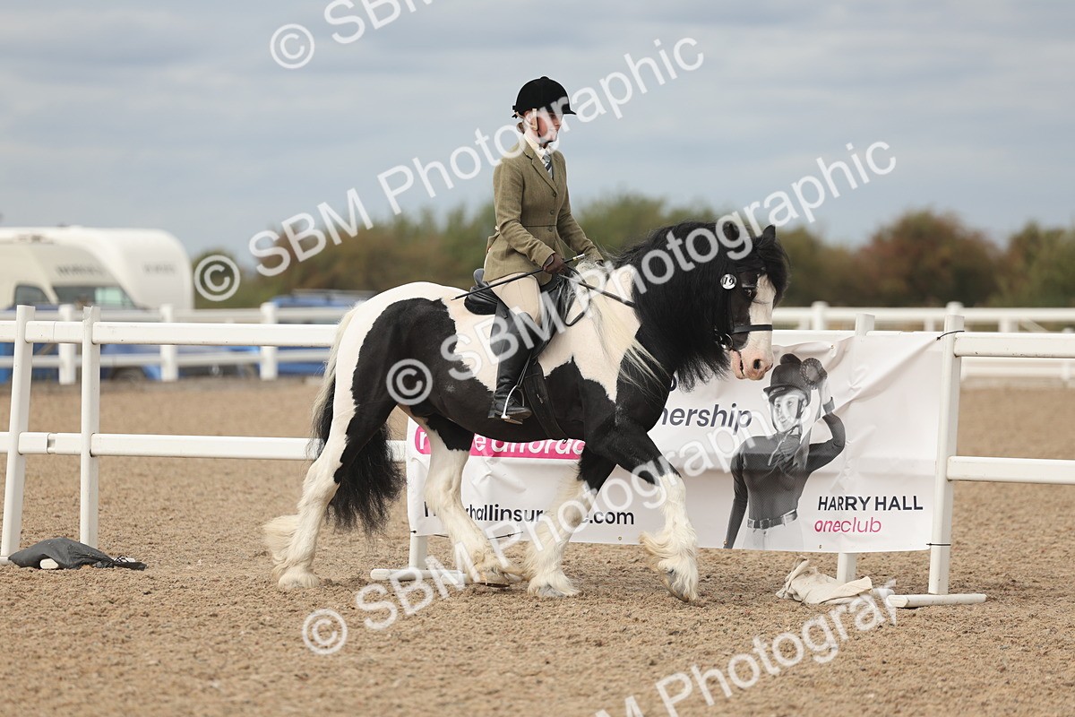 SBM_17988 - Class 314 - Family Horse Pony
