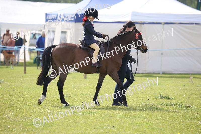 20260426-2583 - Class 31 - Leading Rein