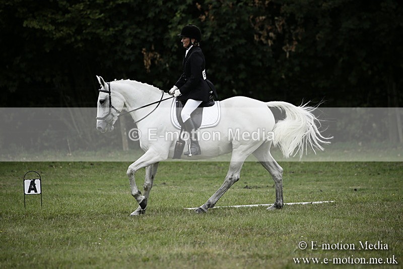 BVR080918 266 - BVRC Novice Dressage & CR 08/09/18