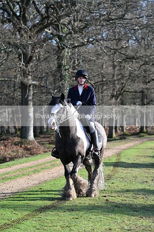 WJ7_7823 - Line 3 (no line 4 or 5)