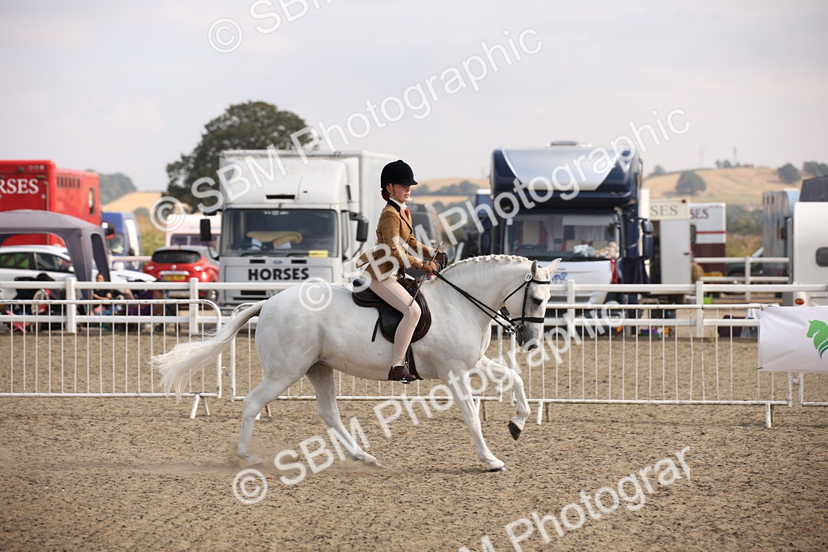 SBM_15047 - Class 408a - Working Veteran 70cm (15-19