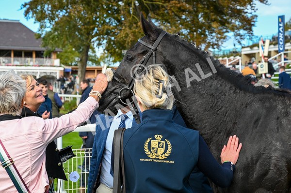 141023-Race 1-Purosangue-8725 - Race 1 1.15pm Coral Rockingham Stakes