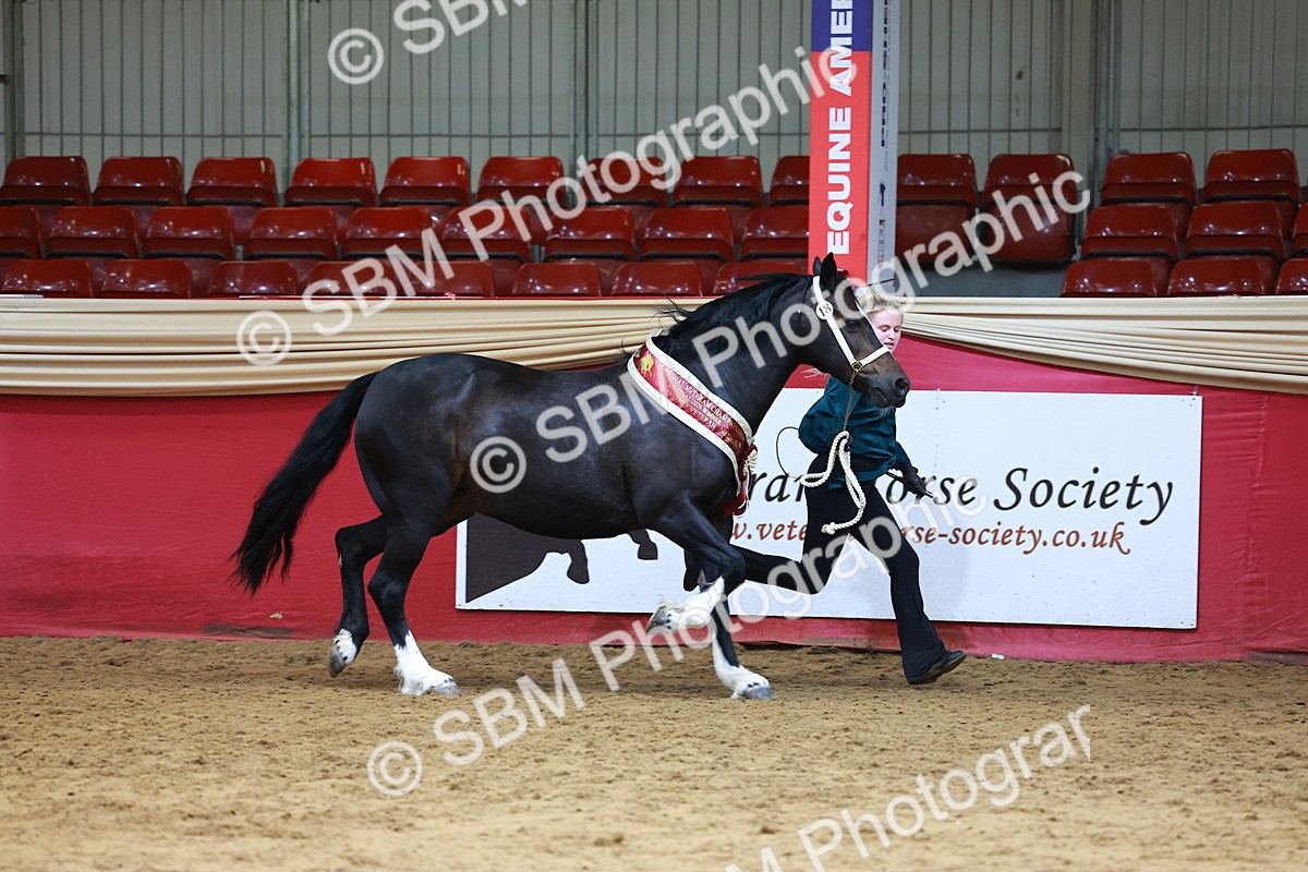 SBM_18766 - Class 903 - Sup Final - IH Pre Vet