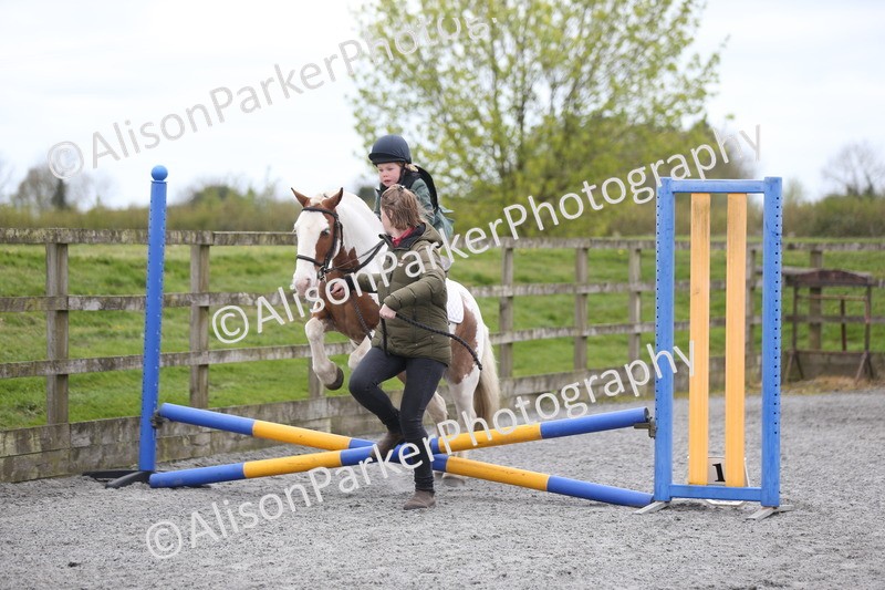 20260412-0174 - Show Jumping