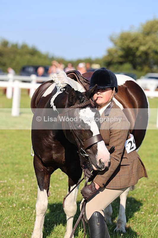 IMG_1394 - Class 28: Ridden Plaited Coloured Pony
