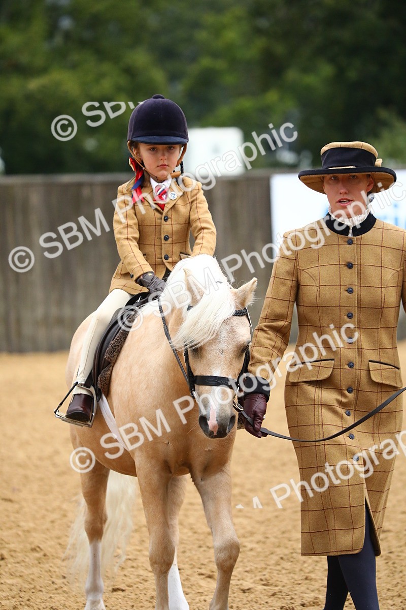 SBM_34558 - D26 - Starters Lead Rein
