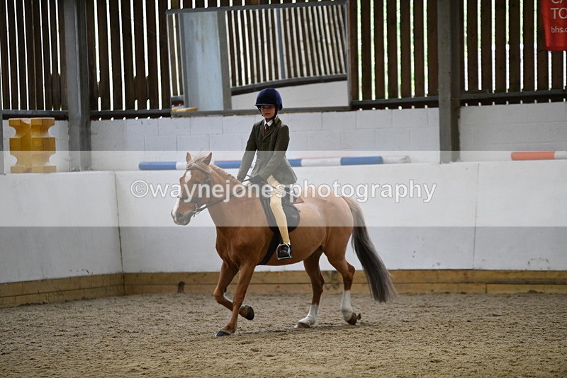 WJ5_7268 - Class 11 Ridden PC - RC Pony