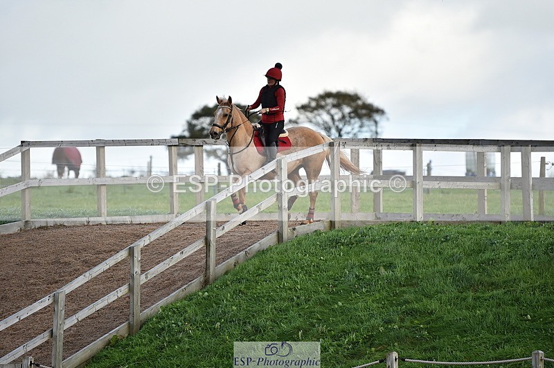 231105A-113846-00575 - 80cm