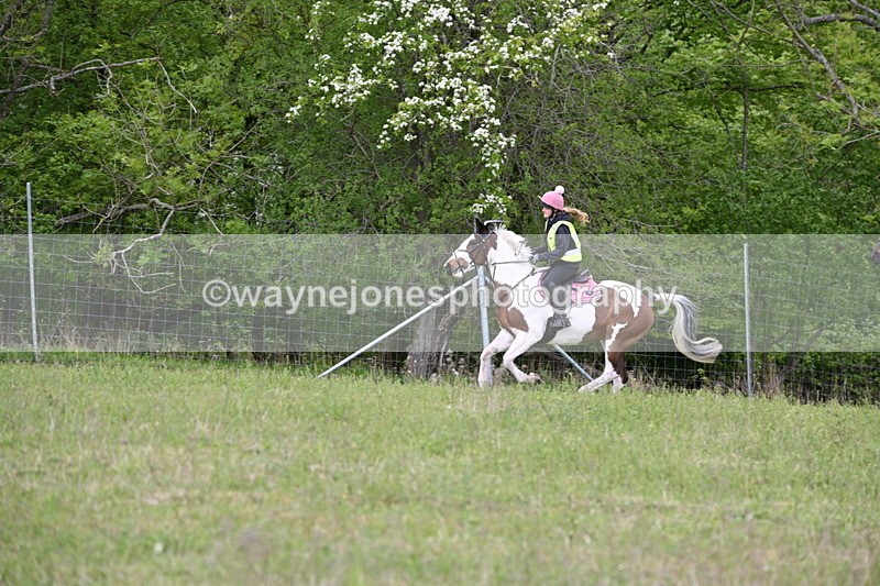 WJ6_1902 - Group 8 A&B Cameras