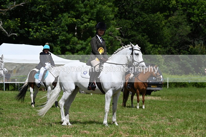 WJ7_1823 - Class 9 Pony Club Pony