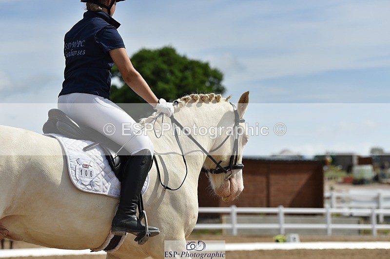 250622-101952-12926 - Quest Cls 19-24 Intro Tests