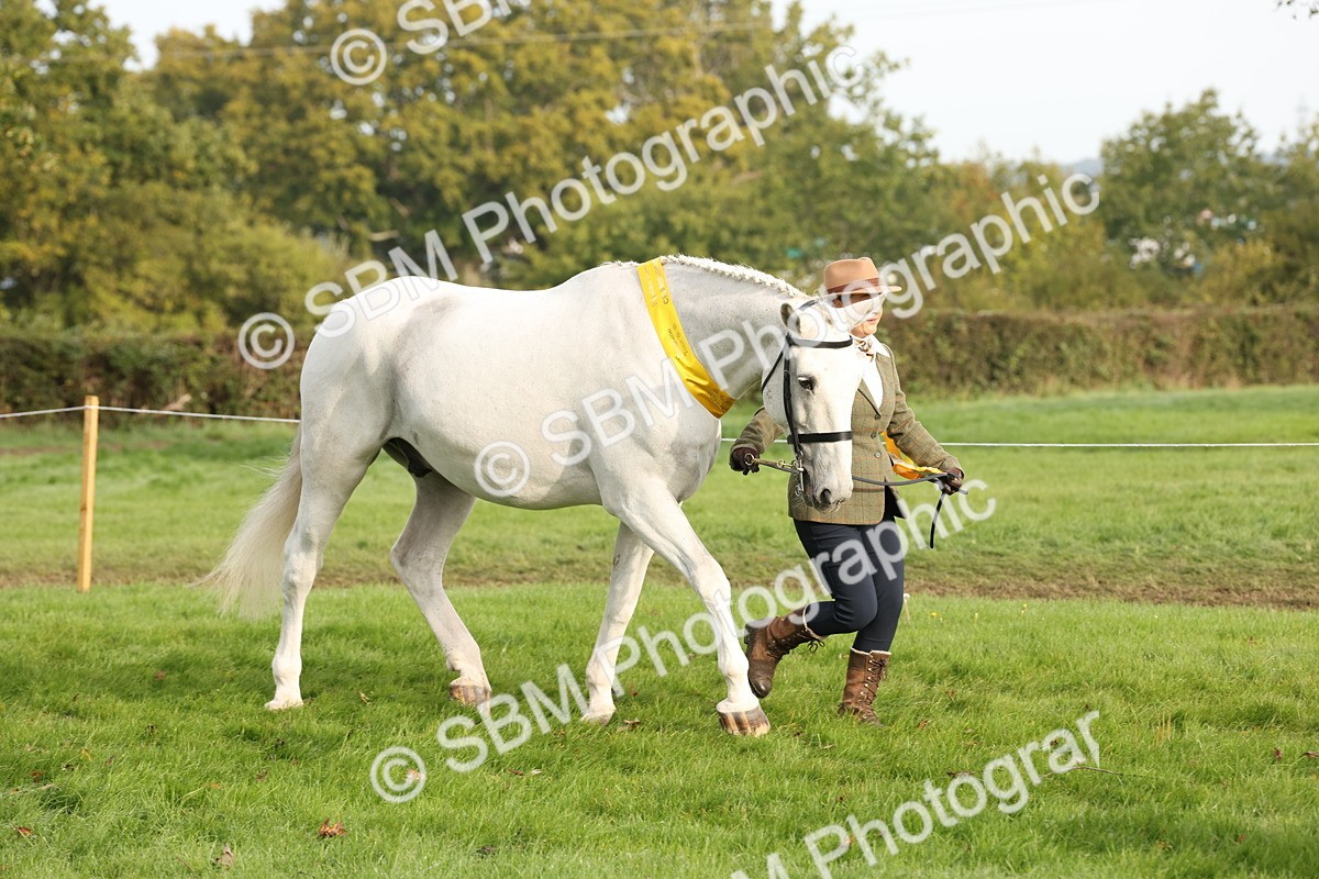 SBM_54725 - S53 - Hunter In Hand