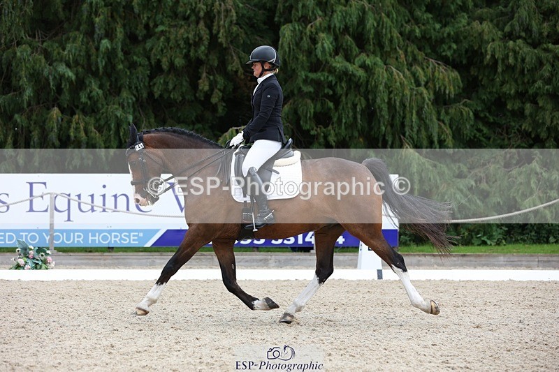 230813-152018-08044 - Cls 11 Elem Bronze 14.30 to End