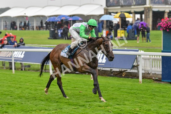 140723-Race 7-Gibside-8433 - Race 7 5.30pm William Hill Extra Place Races Daily Apprentice Handicap