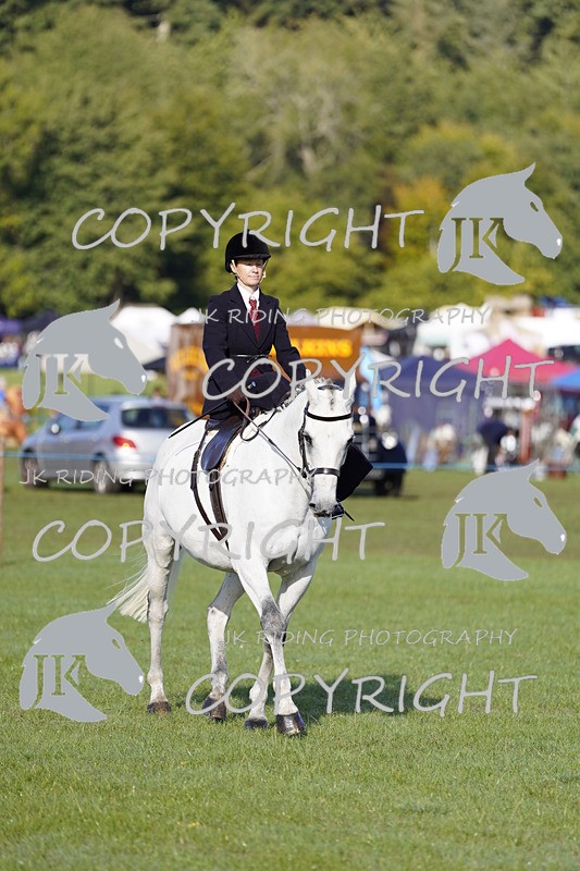 _DSC9469 - Class 8 & 17 Ridden Hunter & Ridden Hunter Pony