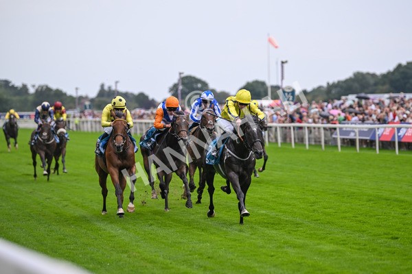 080925-Race 1-Proud Nation-7161 - Race 1 2.30pm Enter ITV7 For Free Confined EBF Maiden Stakes