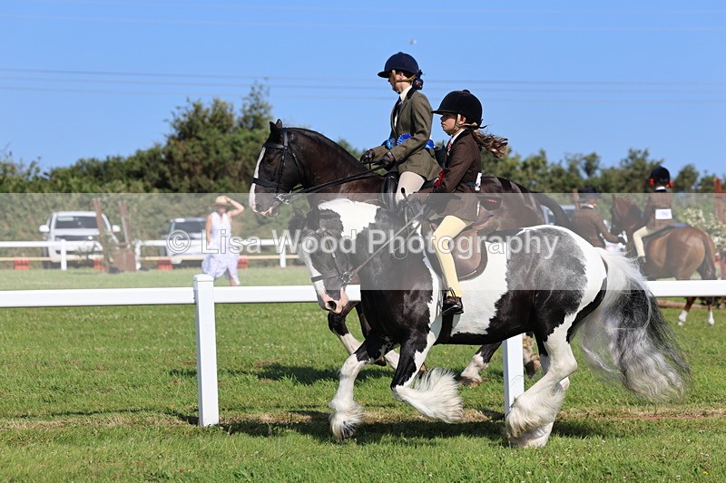 IMG_1656 - Skewbald and Piebald Ridden Championship