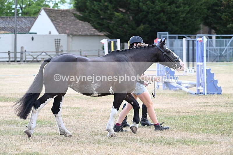WJ7_1818 - Class 4a Prettiest Mare 14.2hh and over hand