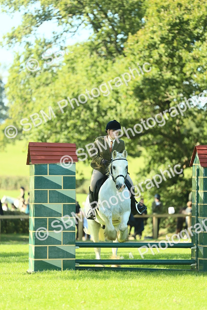 SBM_37391 - S29 - Novice & Newcomers Working Hunter Pony