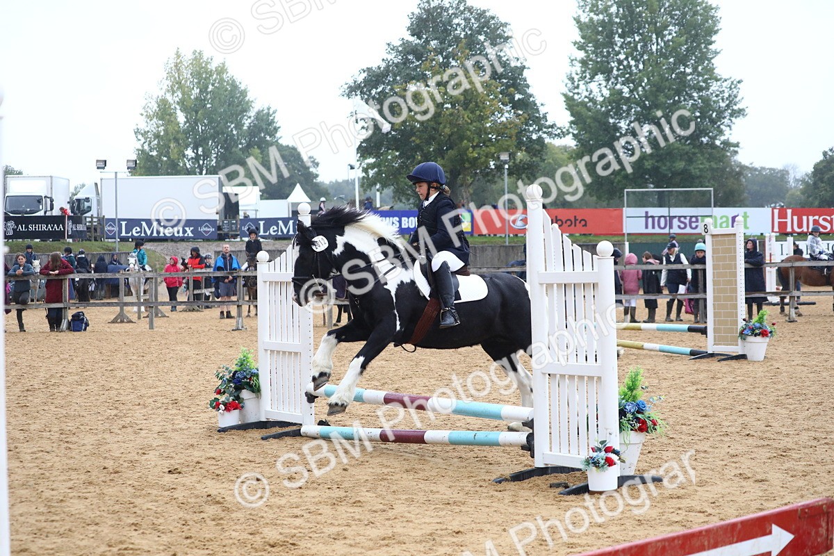 SBM_71621 - J4 - Mini Tour Junior Pony 45cm Championship