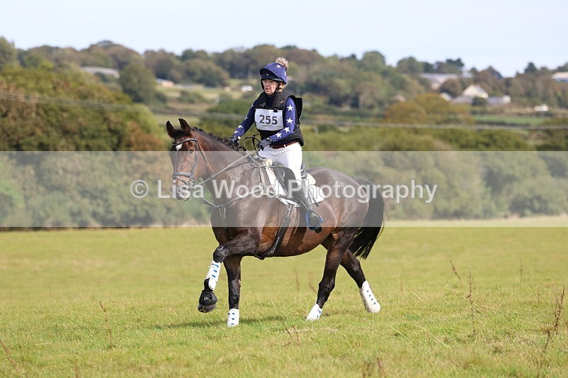 3E7A6900 - Class 2: Trekenning Open: Yellow Boat
