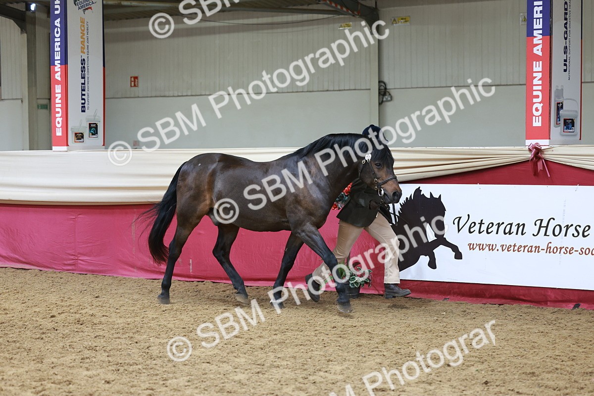 SBM_17419 - Class 951 - M&M IH Supreme Final