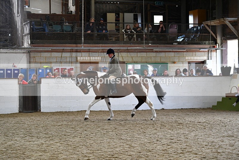 WJ5_6059 - Class 9 Ridden Veteran