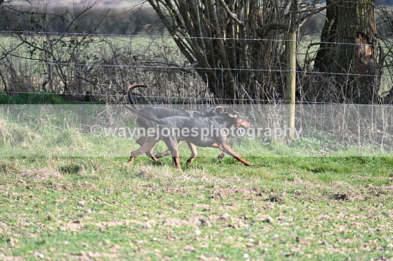 WJ7_5699 - Camera A
