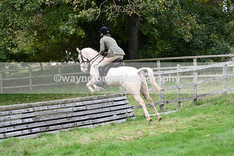 WJ7_4767 - Camera 1 Line 3