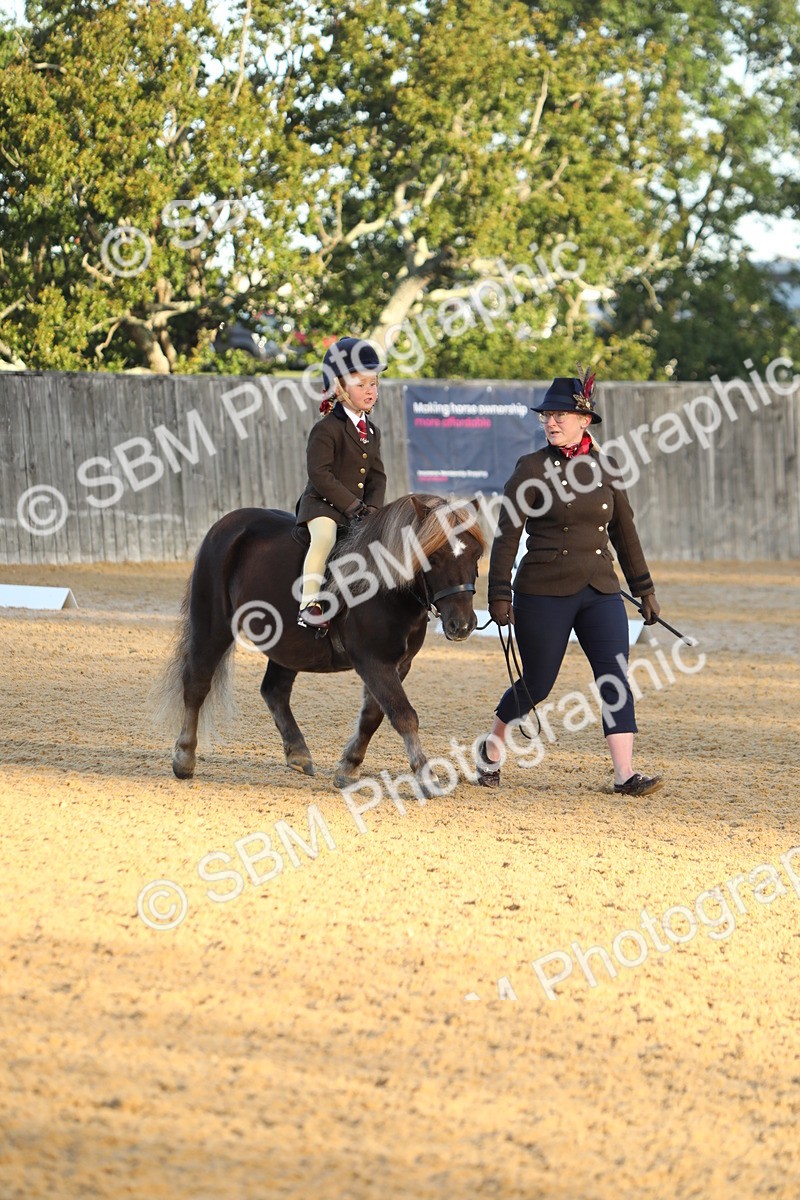 SBM_33547 - D26 - Starers - Lead Rein