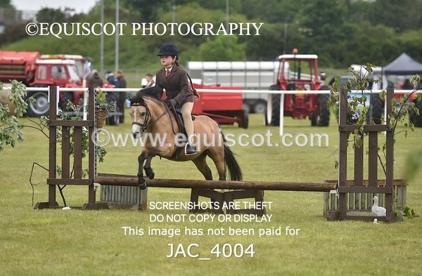 JAC_4004 - 40CM WORKING HUNTER