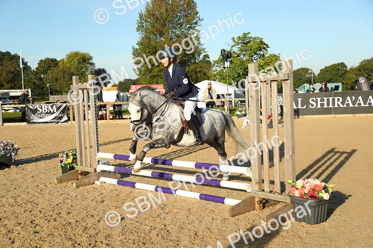 SBM_34889 - J5 - Junior Pony 50cm Championship