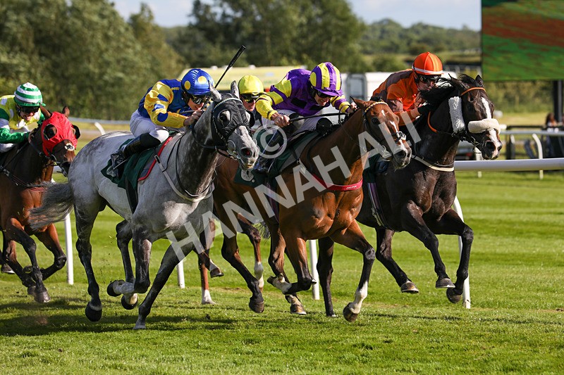 080624-Race 8-Resilience-5182 - Race 8