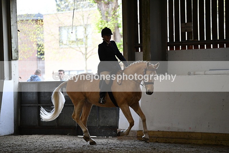 WJ5_6126 - Class 9 Ridden Veteran