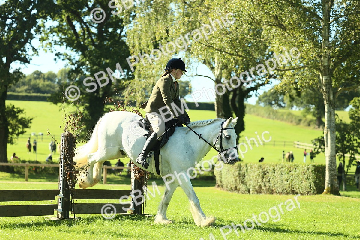 SBM_37384 - S29 - Novice & Newcomers Working Hunter Pony