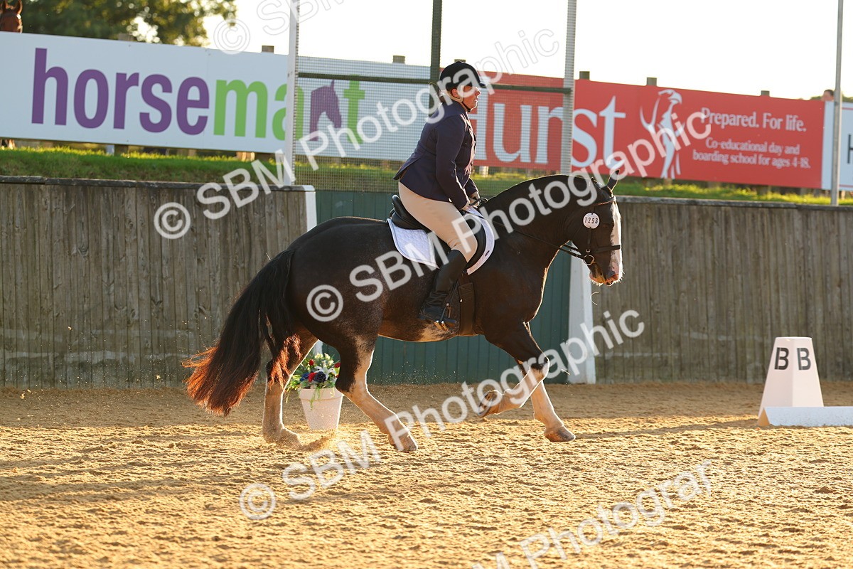 SBM_54605 - D12 - Small Tour Championship - Prelim 18